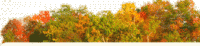 Happy Thanksgiving from CITYPEEK